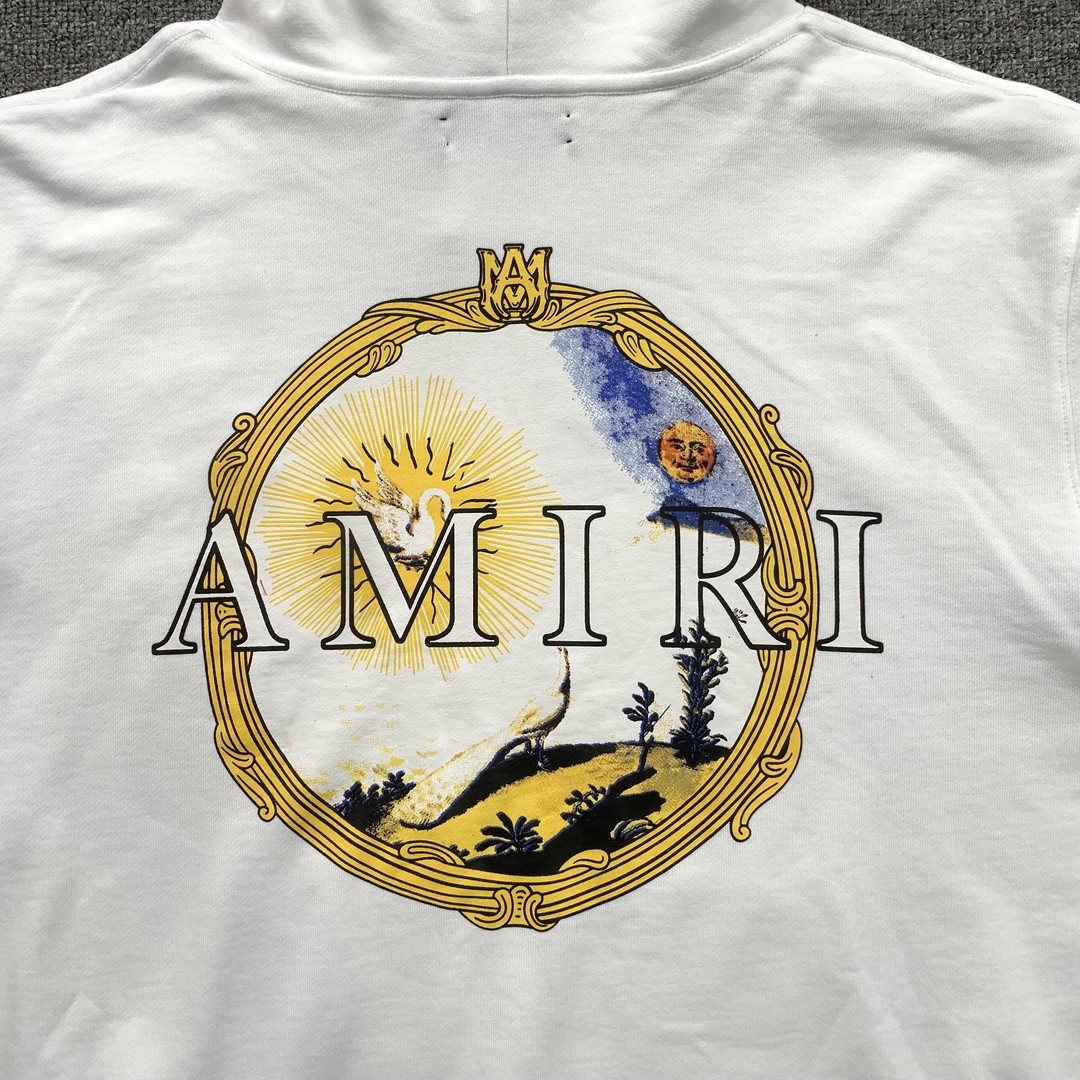 47_248 Amiri Hoodie