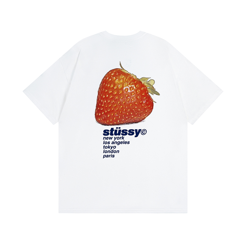 45_Stussy T-shirt