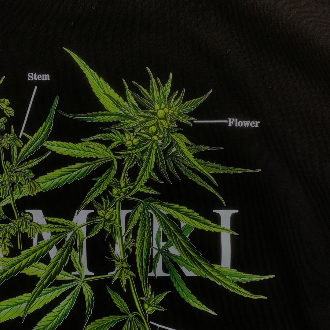 105_155    AMIRI  Hoodie