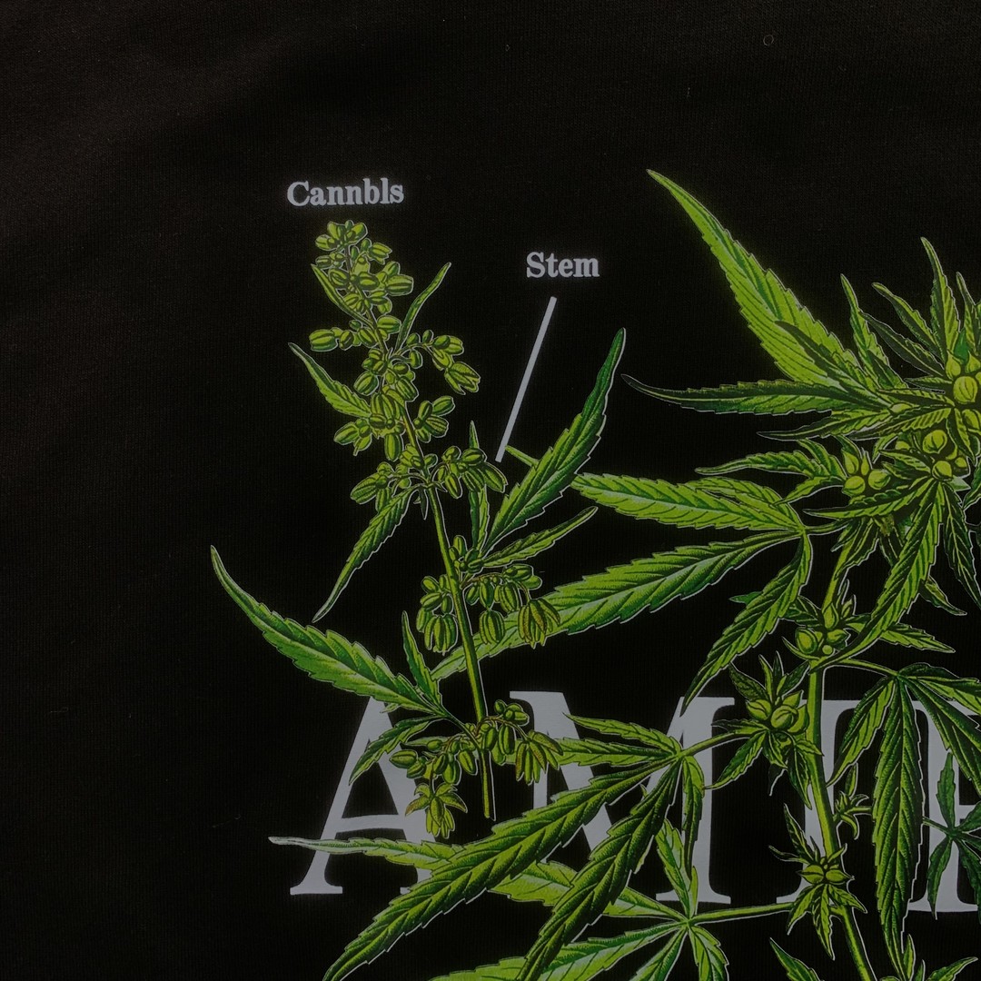 105_155    AMIRI  Hoodie