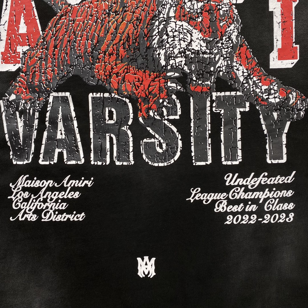 58_290   AMIRI  Hoodie