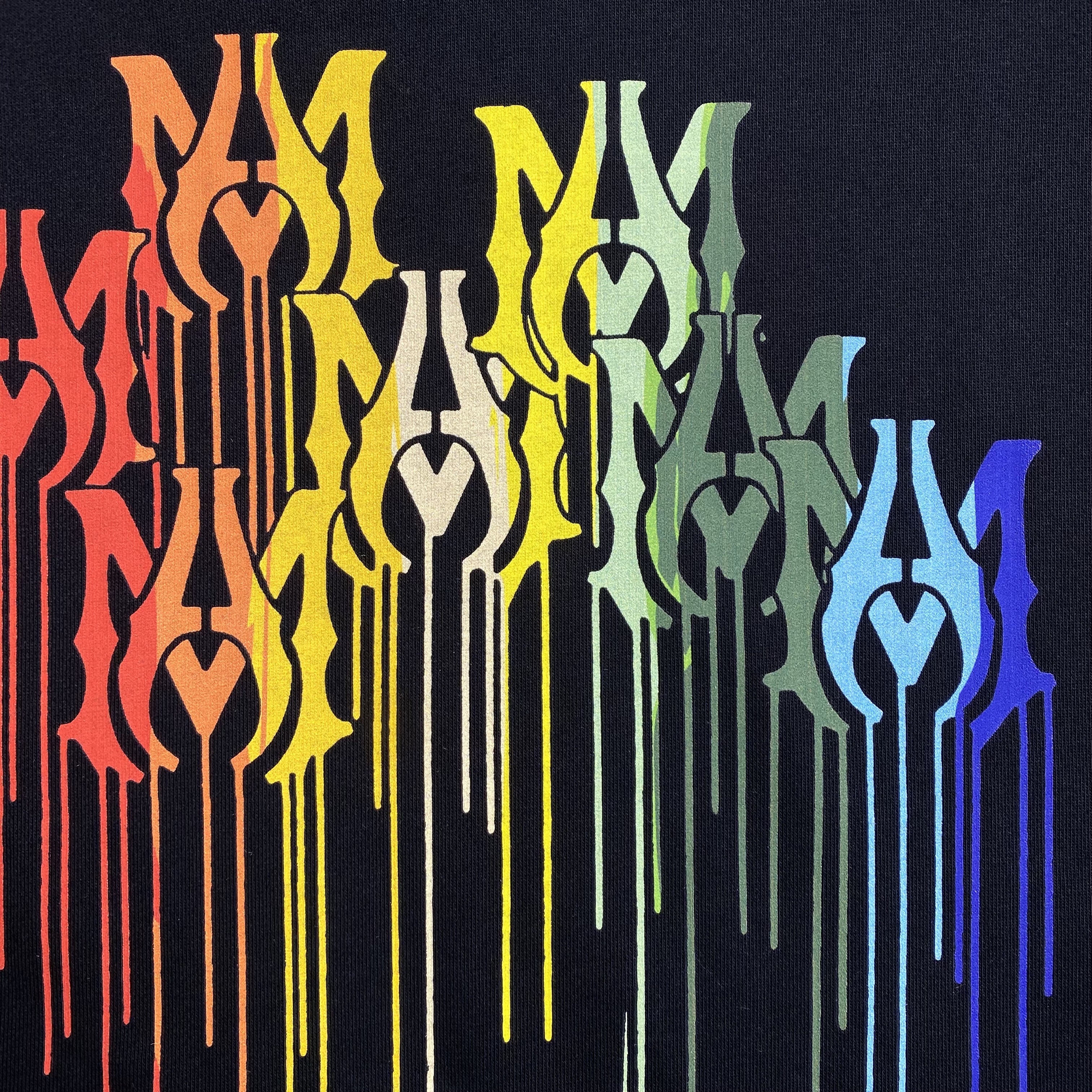 48_160  AMIRI Hoodie