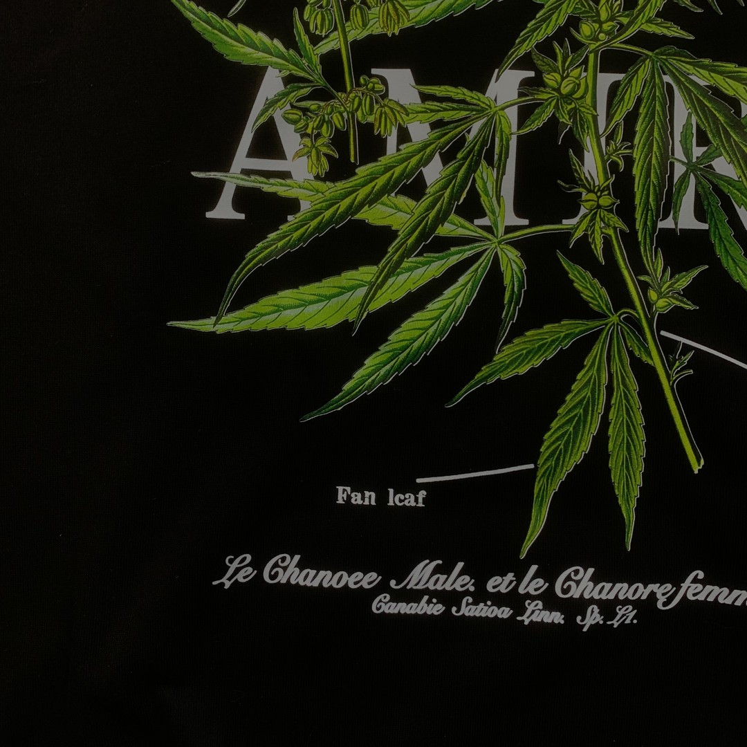 105_155    AMIRI  Hoodie