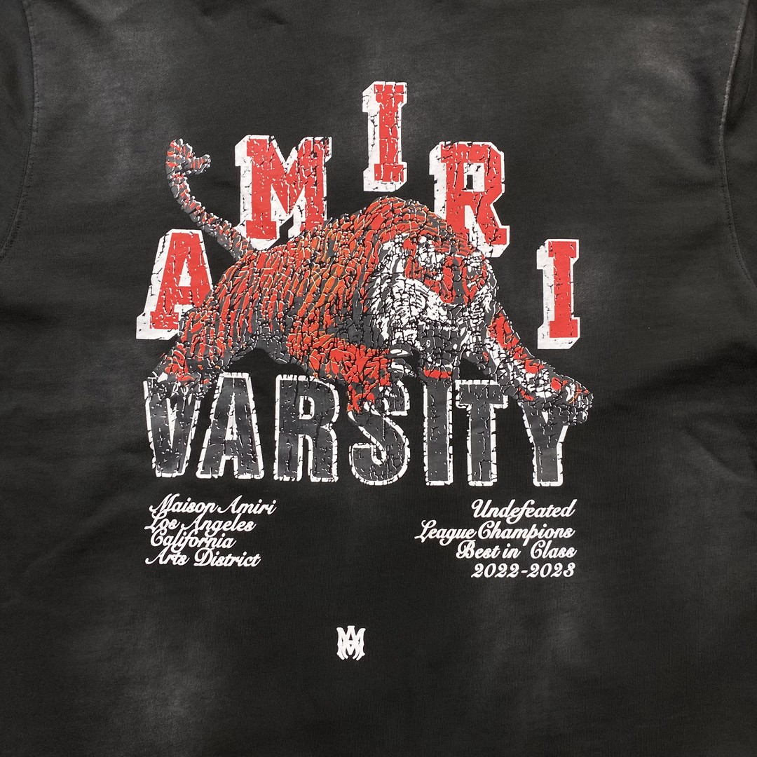 58_290   AMIRI  Hoodie