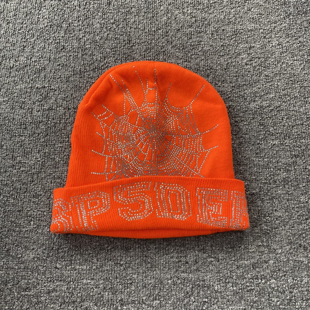 5_100 spider Beanie