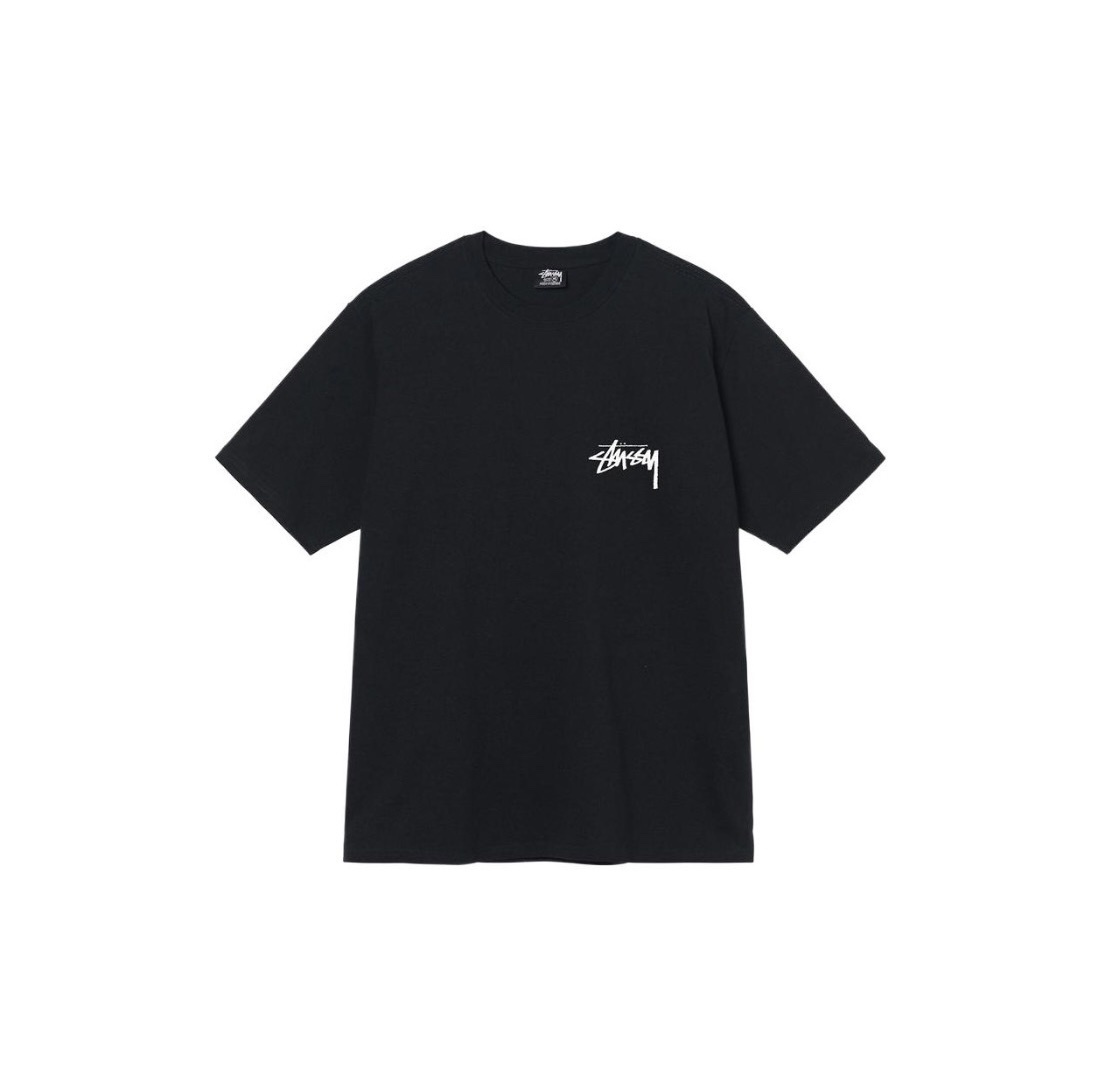 15_Stussy T-shirt