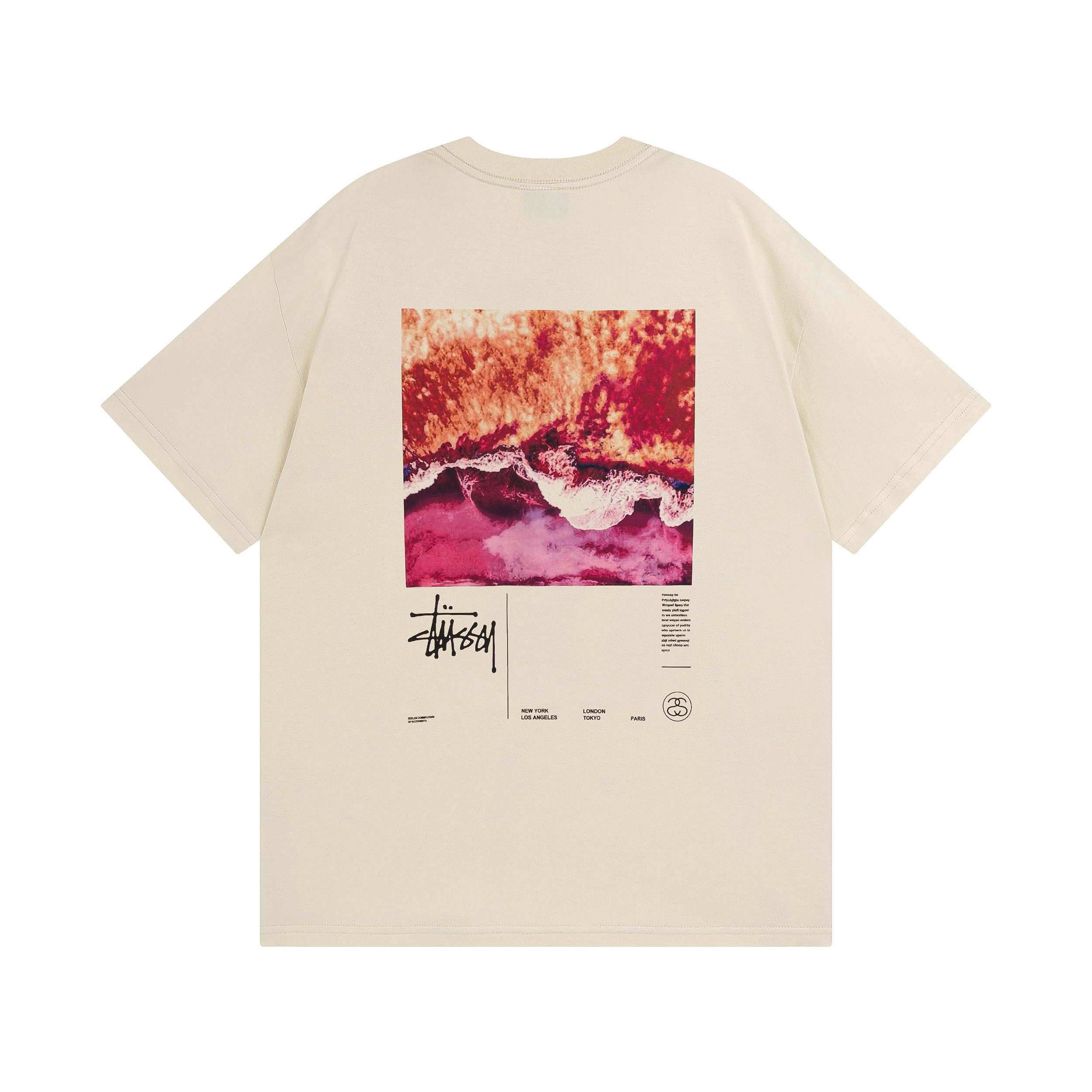 117_Stussy T-shirt