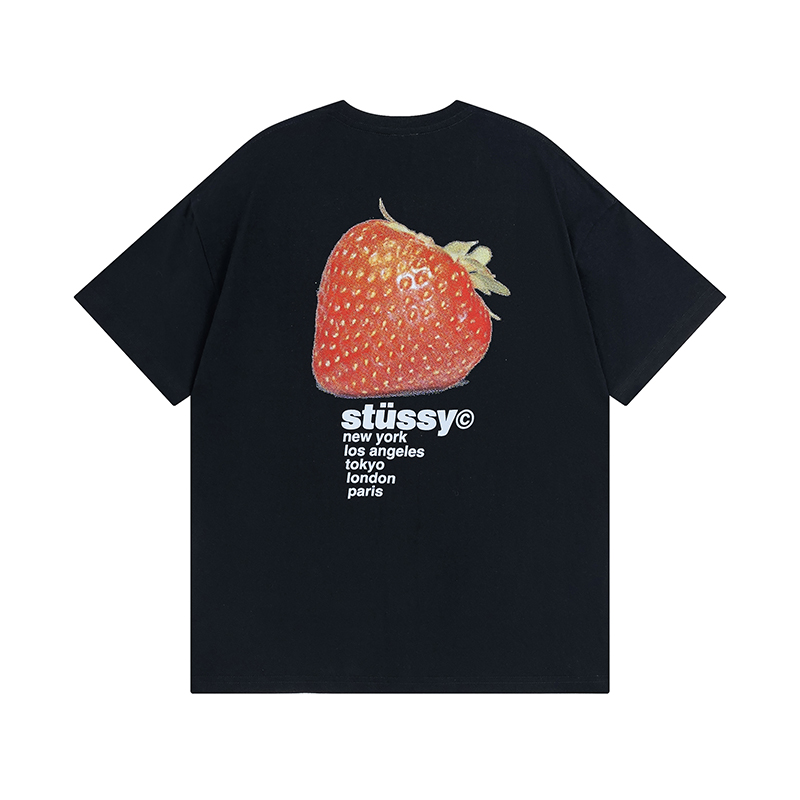 45_Stussy T-shirt
