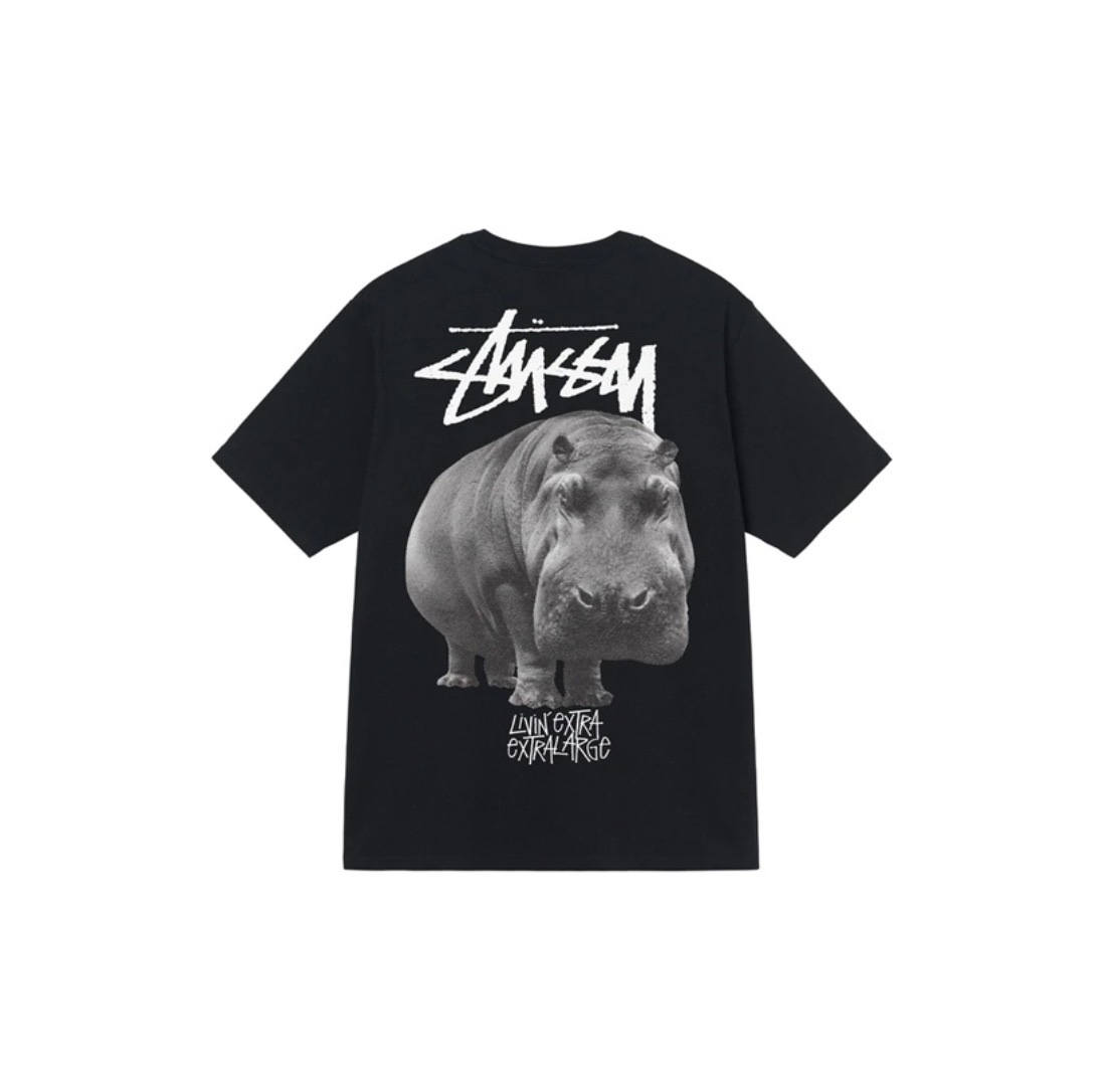 14_Stussy T-shirt