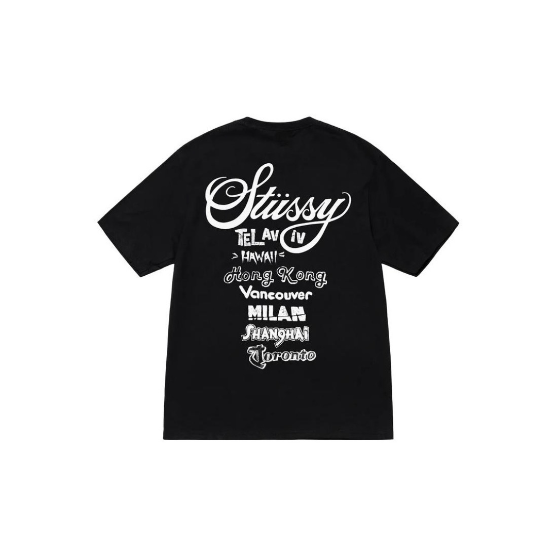 35_Stussy T-shirt