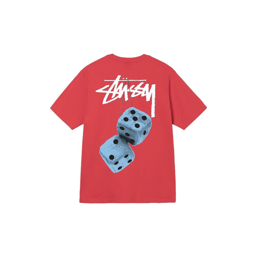 15_Stussy T-shirt