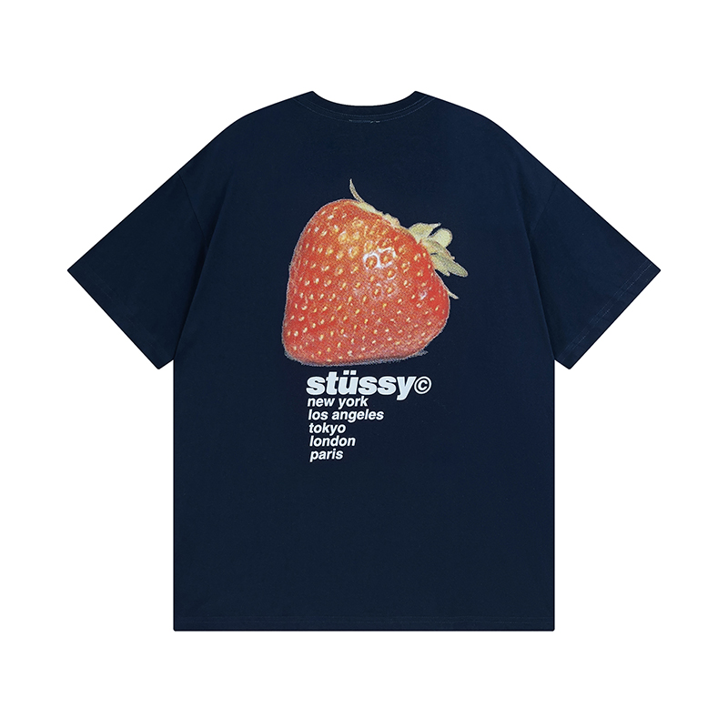 45_Stussy T-shirt