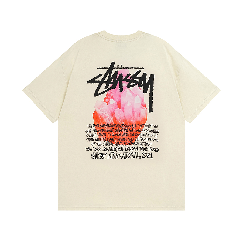 33_Stussy T-shirt