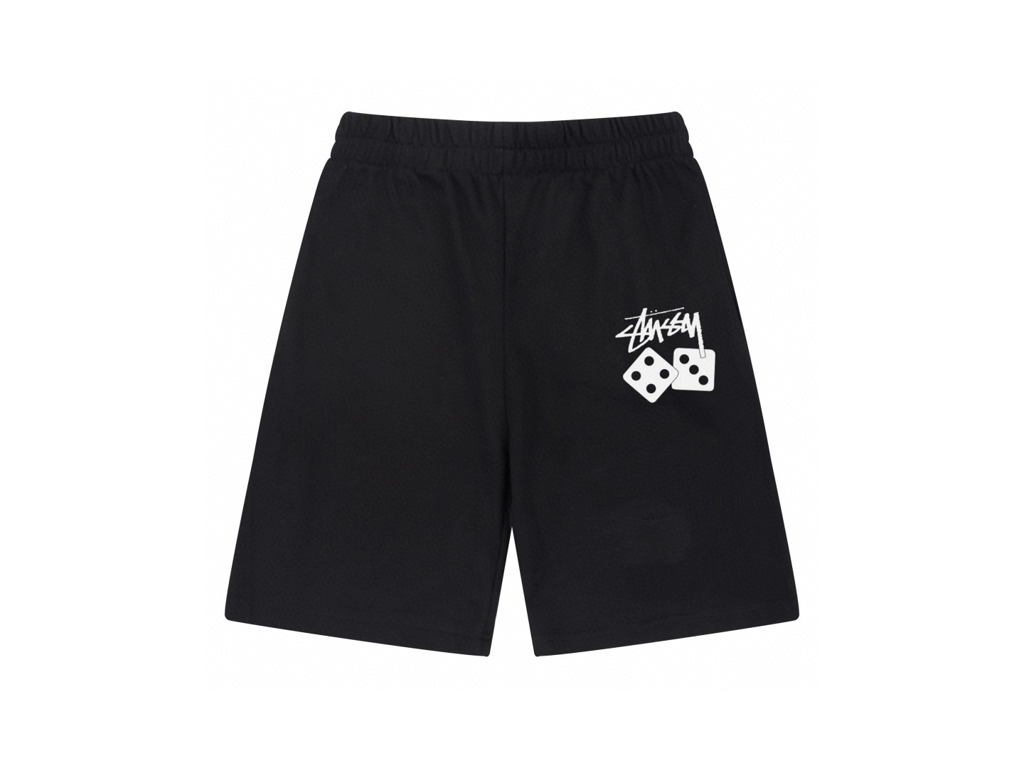 18_Stussy Shorts