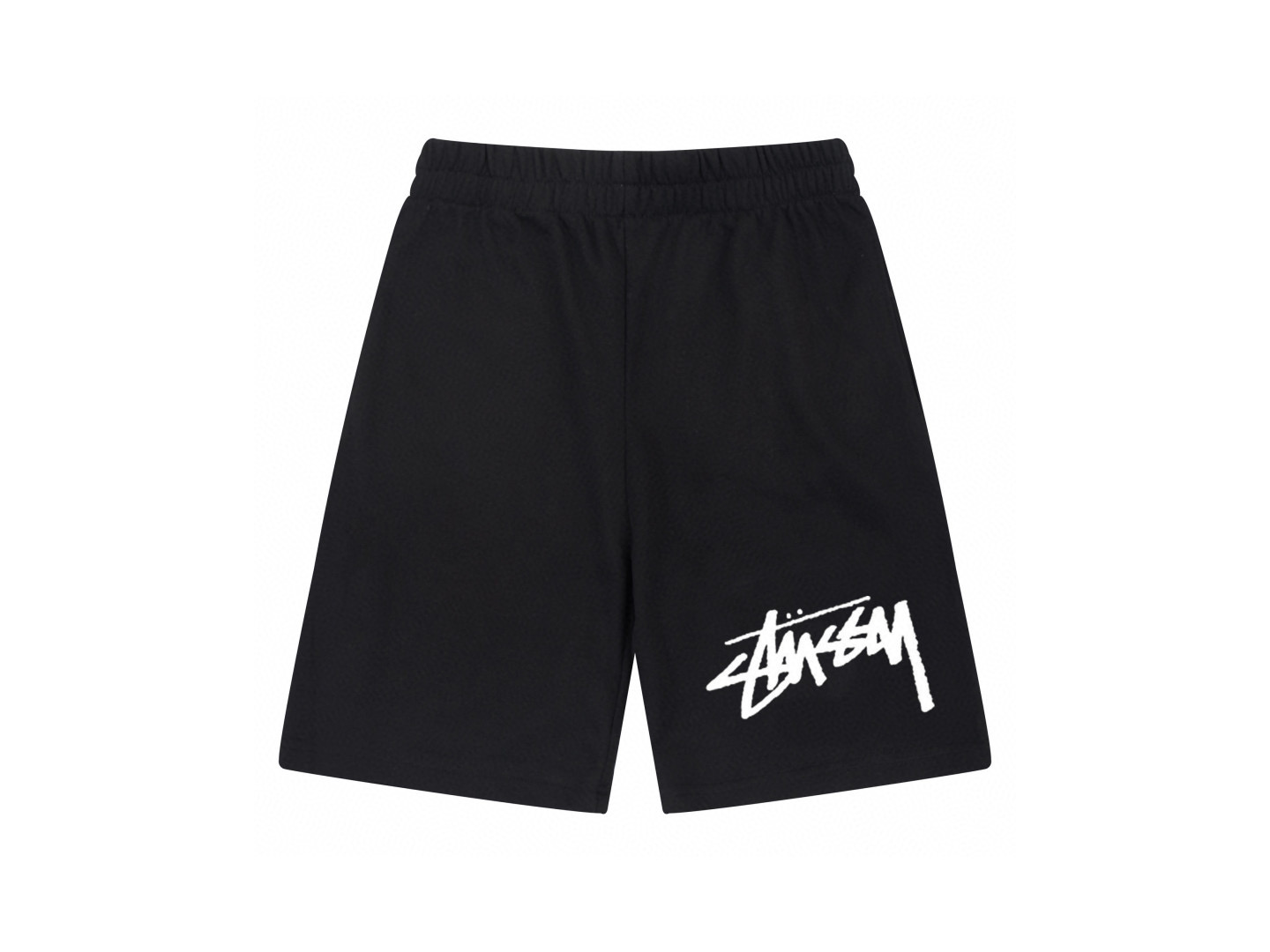 41_Stussy Shorts