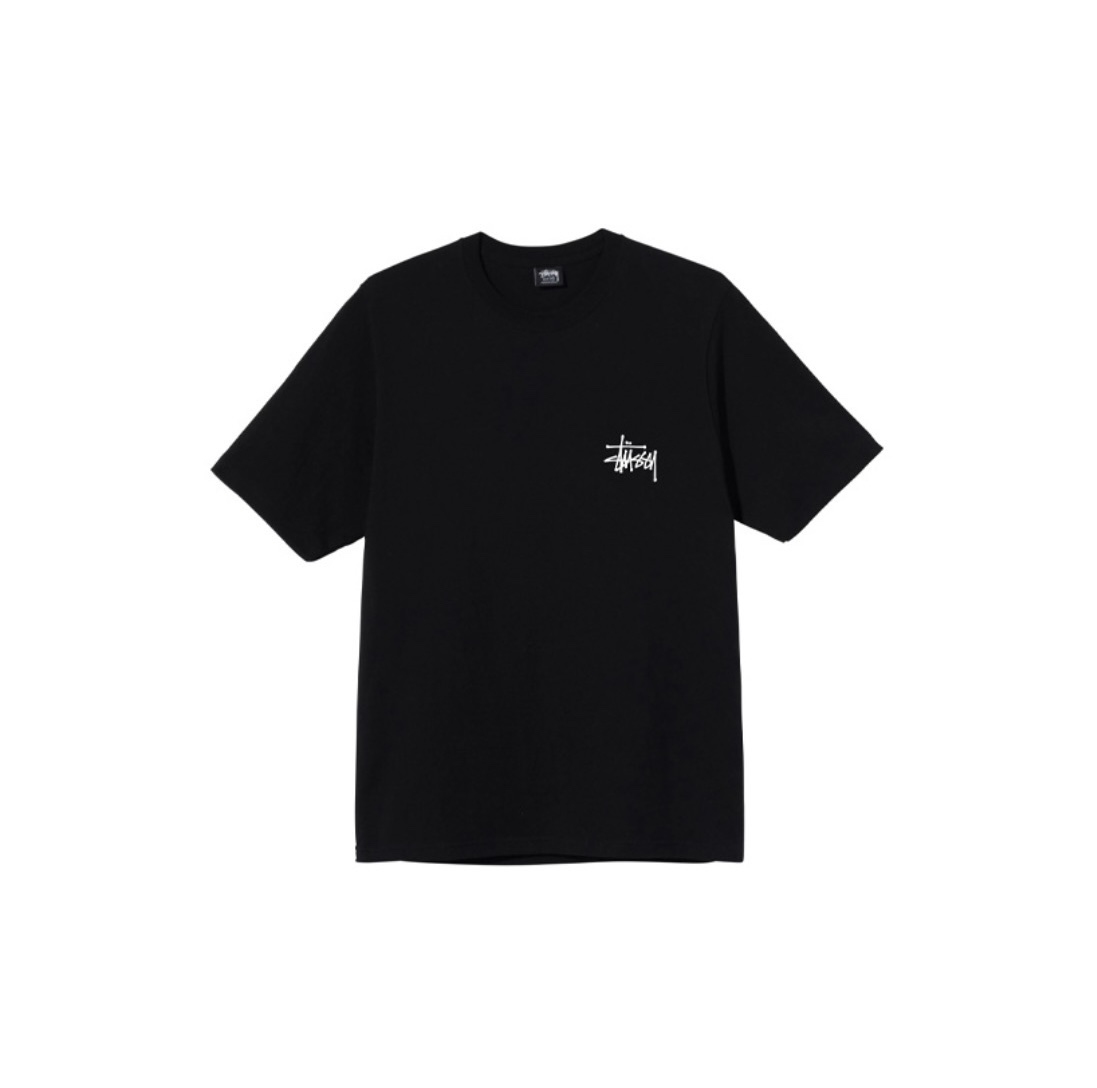 19_Stussy T-shirt