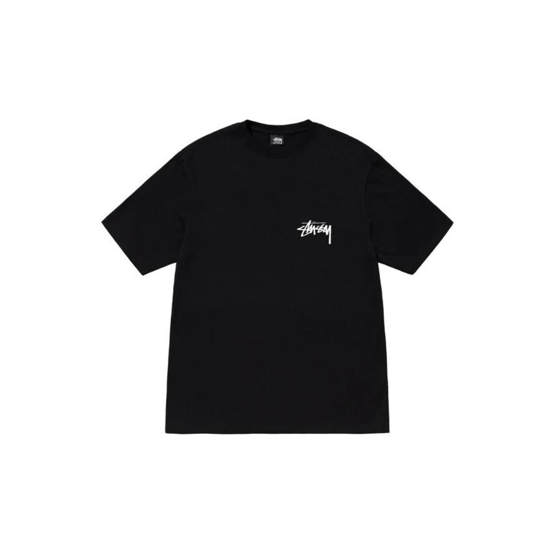 32_Stussy T-shirt