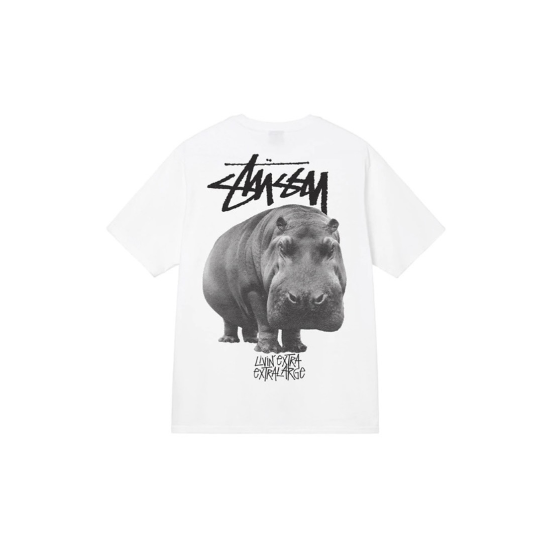 14_Stussy T-shirt