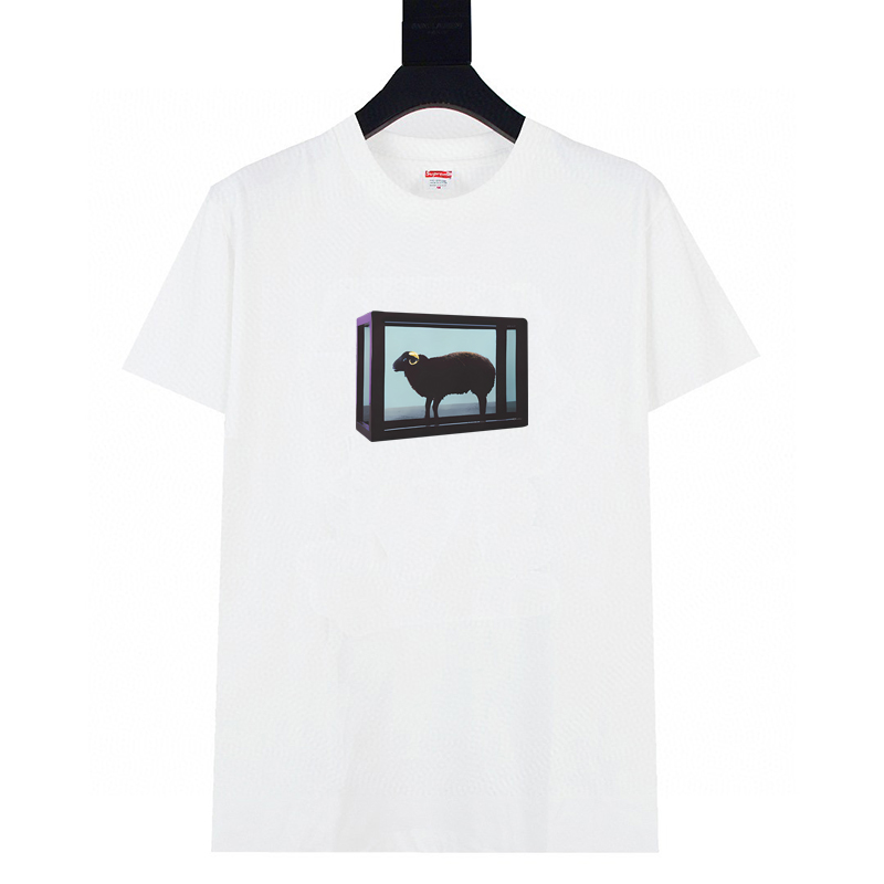 60_Supreme T-shirt (2 colors)